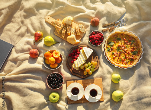 Delicious food for picnic on blanket outdoors