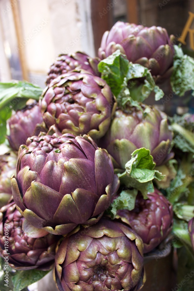 Obraz premium Artichoke 