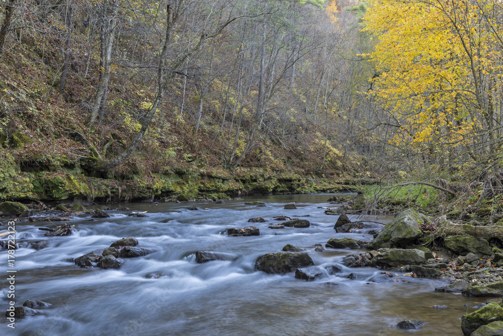Whitewater River In Autumn - A scenic river in the woods. Whitewater River In Autumn - A scenic river in the woods.