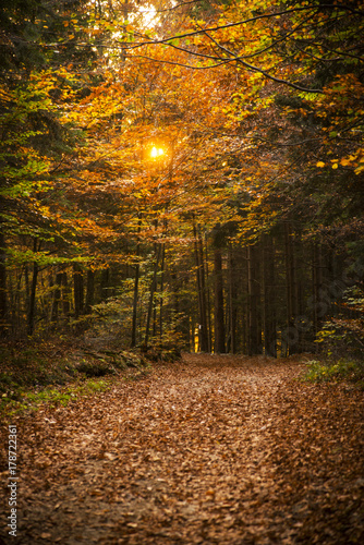 Autumn scene in Tuhinj valley in Slovenia photo