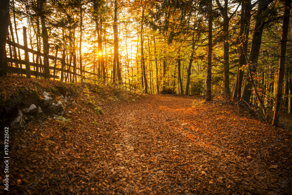 Obraz premium Autumn scene in Tuhinj valley in Slovenia