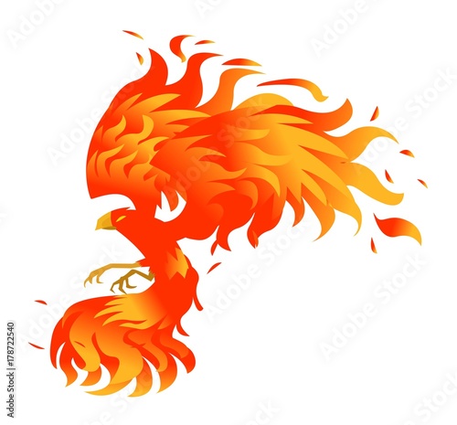 phoenix bird on fire