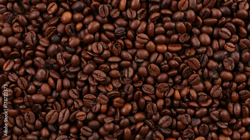 close up on coffee bean © M.studio