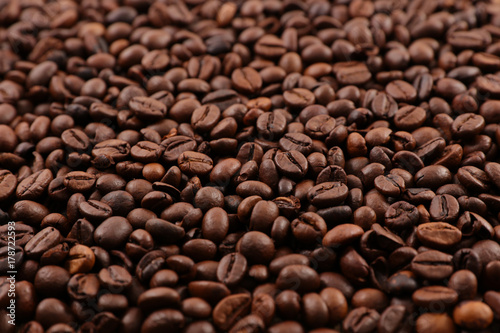 close up on coffee bean