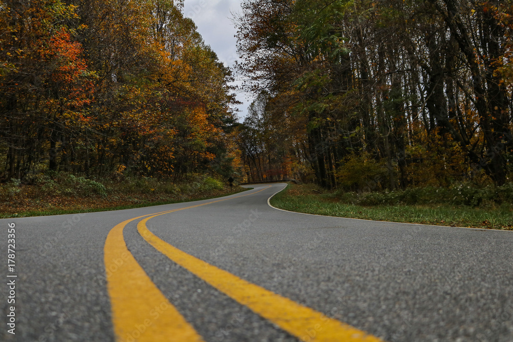 Fototapeta premium Skyline Drive in fall, Shenandoah National Park, Virginia