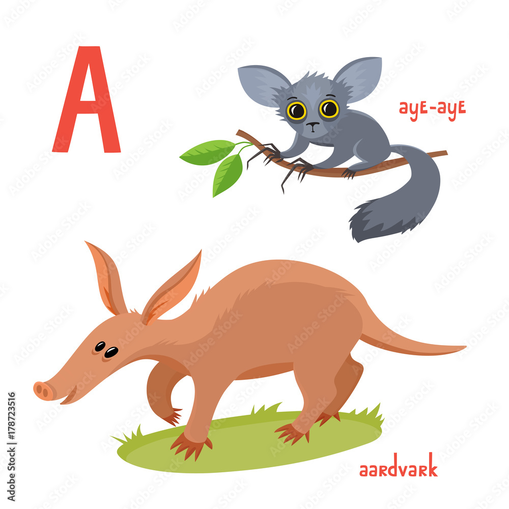 Set of wild animals in cartoon style, vector illustration of aardvark and aye-aye