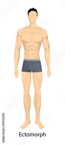 Male body types. © inspiring.team