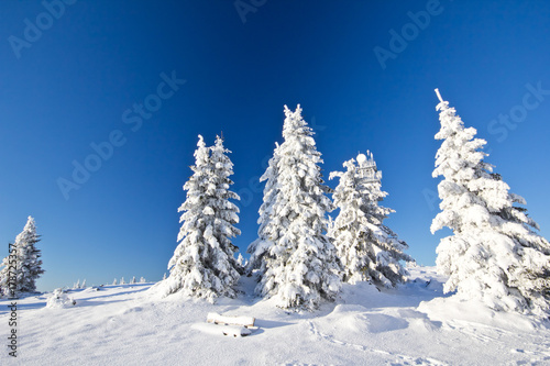Winterwunderland Weihnachten