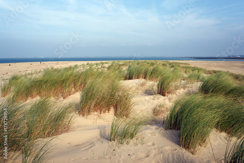 plage du Galon beach in Charente maritime coast