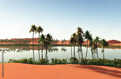 Beautiful natural background -African oasis 3d rendering