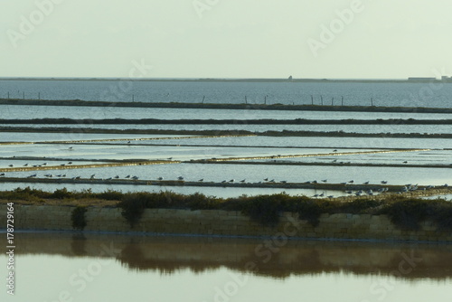 Saline di Marsala con i suoi mulini e vasche al tramonto