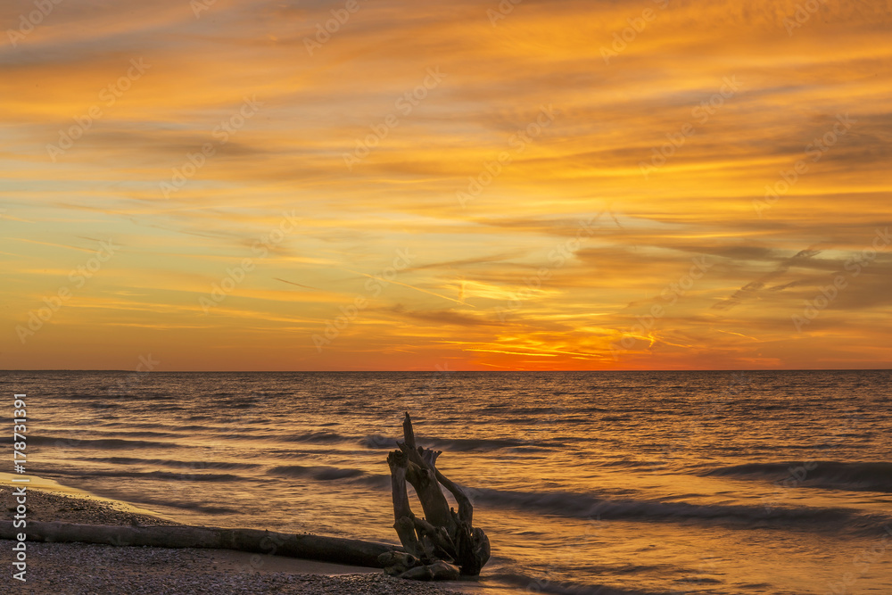 Driftwood on a Lake Huron Beach at Sunset