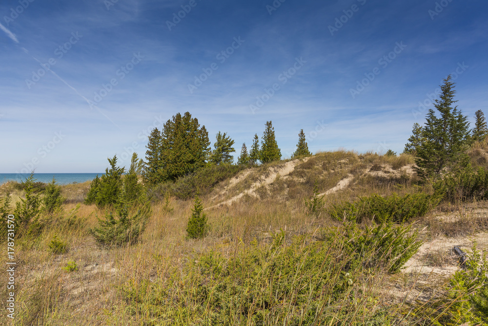 Sand Dune ridge on the shore of Lake Huron - Pinery Provincial Park, Ontario, Canada Sand Dune ridge on the shore of Lake Huron - Pinery Provincial Park, Ontario, Canada