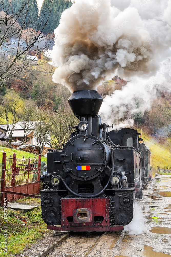 Running wood-burning locomotive of Mocanita ( Bucovina, Romania).