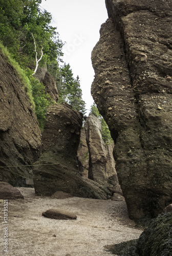 Flower pot rock formations caused from tidal surges at Hopewell Rocks. Bay of Fundy has the strongest tidal surges in the world. 