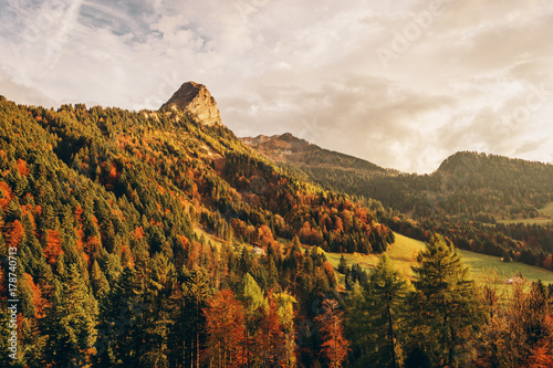 Autumn forest in mountains, image taken in canton of Vaud, Switzerland