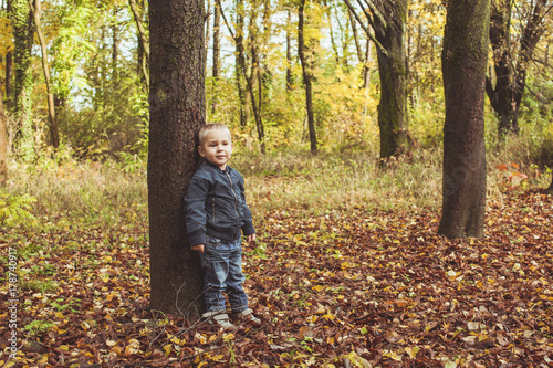 Little boy walking in autumn forest
