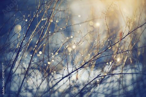 Background with branches with patches of light from sunshine.