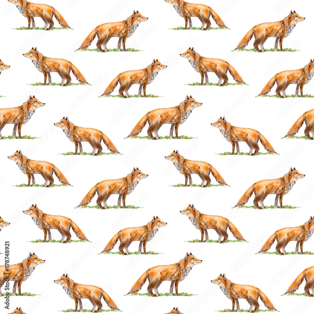 Seamless pattern of a fox.Forest animals.Watercolor hand drawn illustration.White background.