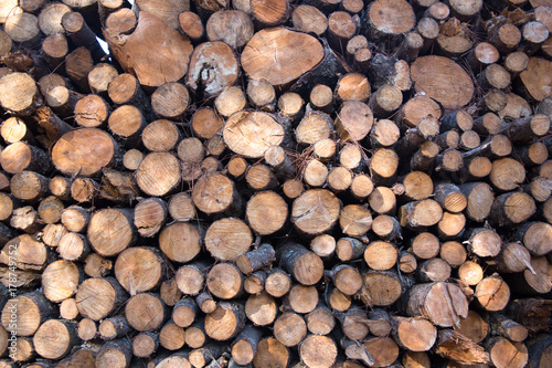 Stack of Cut Firewood