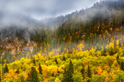  Spearfish Canyon, South Dakota.  And yes, it was incredibly beautiful.  I miss fall colors.