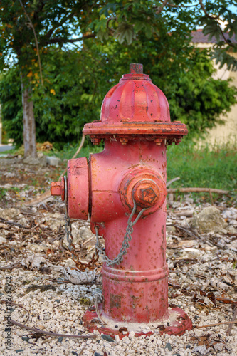 red water hydrant in the park