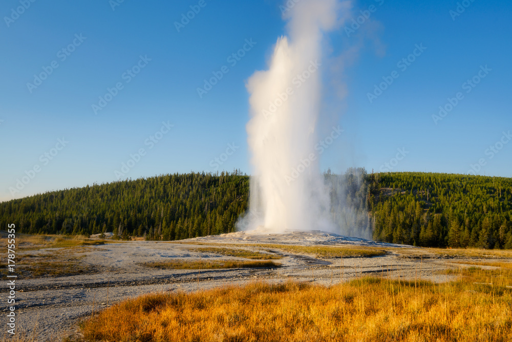 Fototapeta premium Old Faithful Geyser, Yellowstone National Park, Wyoming