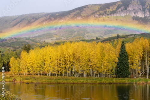 Rainbow and golden aspen in Colorado
