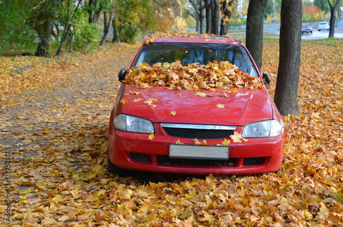 Car in fallen leaves in autumn time.