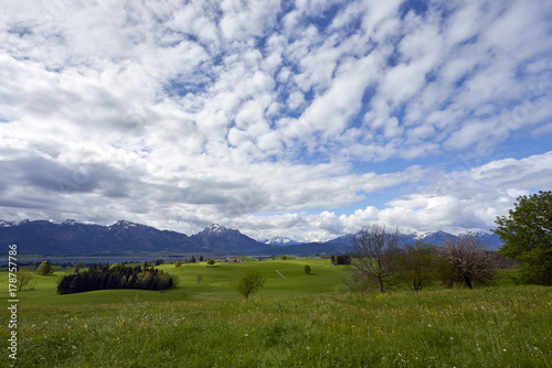 green lush farmland in rural Germany; cow pastures and open farmland mark the foothills of the alps in Germany's Bavarian region