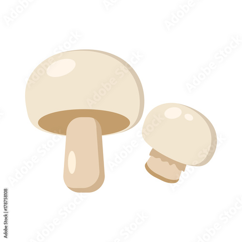 Colored mushrooms. Vector illustration