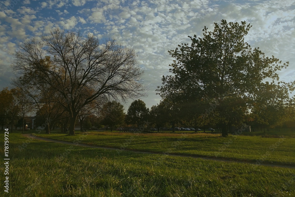 Beautiful summer evening at the park Beautiful summer evening at the park