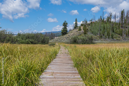 Low Angle View of Boardwalk Through Grassy Marsh