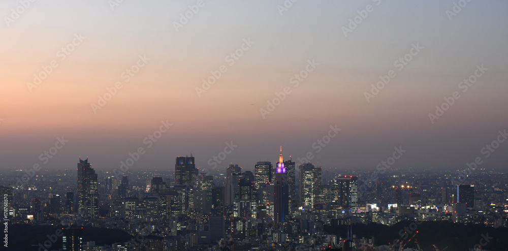 日本の東京都市景観・夕景「新宿区や渋谷区などの高層ビルなどを望む」