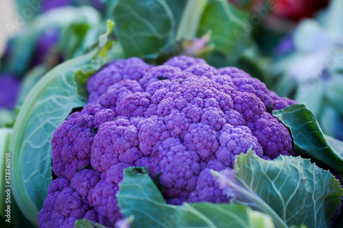 Purple Cauliflower Macro
