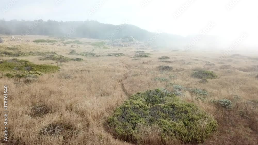 Aerial of Foggy Coastal Habitat on Sonoma Coast, California Aerial of Foggy Coastal Habitat on Sonoma Coast, California