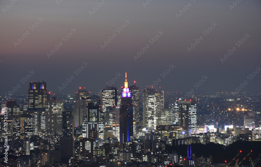 日本の東京都市風景「新宿区などの高層ビル群や街並みを望む」