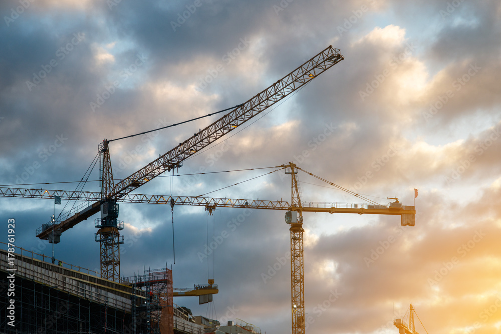Industrial construction crane