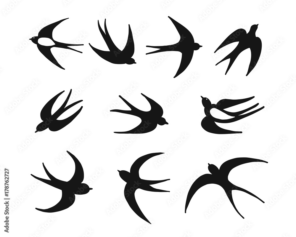 Swallows, sketch for your design Swallows, sketch for your design