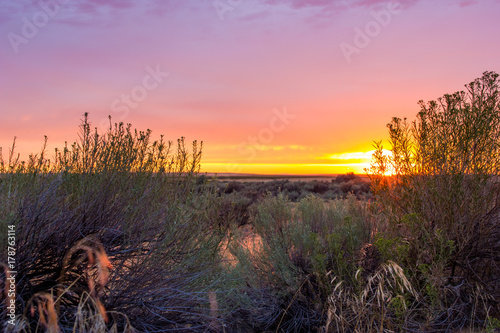 Sunset Sagebrush on the Oregon Trail photo