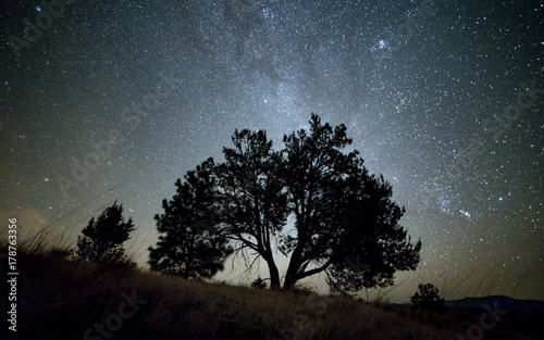 Lone Western Juniper Tree and Milky Way at night sky with stars