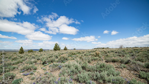 Empty plain on Steens Mountain 1