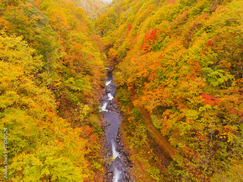 紅葉の裏磐梯中津川渓谷