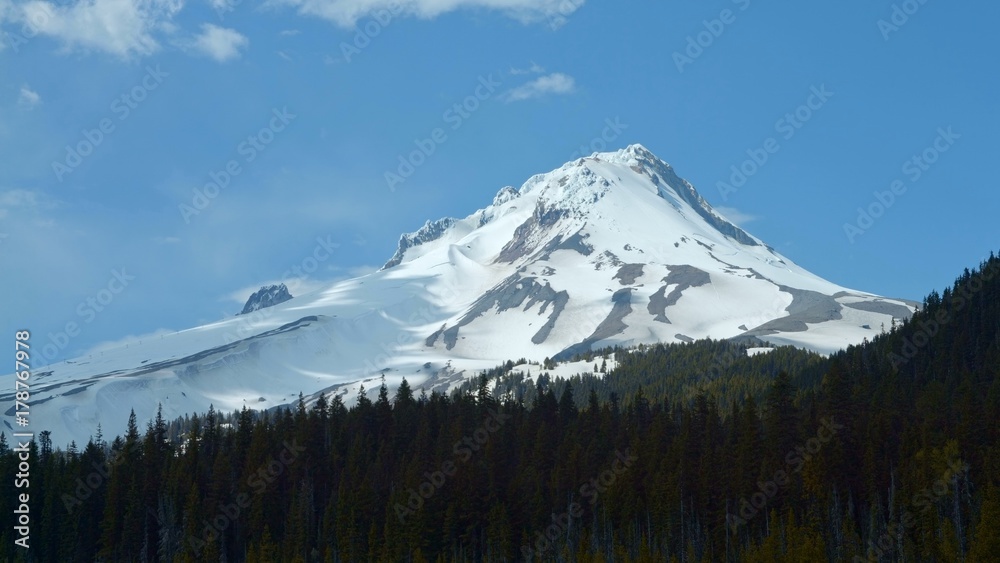 Snowy mountain peak and evergreen forest with shadows Mt. Hood Spring Forest Oregon Cascade Mountains