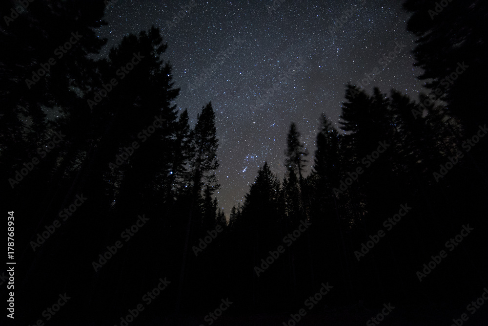 Dark sky forest and stars on Mt. Hood 4 Dark sky forest and stars on Mt. Hood 4