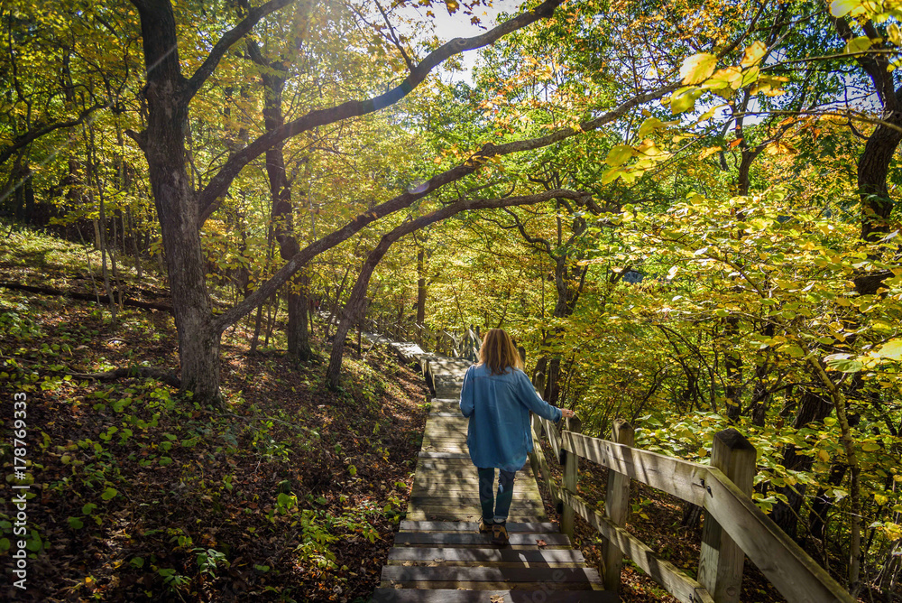 person going down wooden stairway on colorful fall forest path