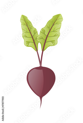 Beet icon in cartoon style. Vector illustration isolated on white background.