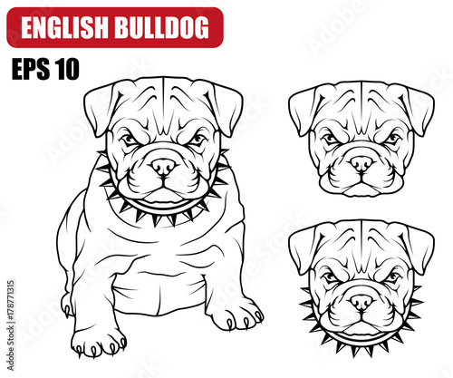 English bulldog icon.Dog collection