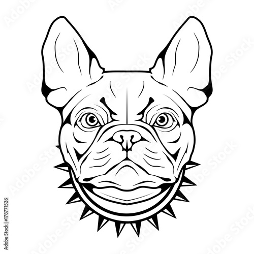 French Bulldog icon.Dog collection