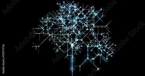 Internet Growing and Expanding as Time Lapse